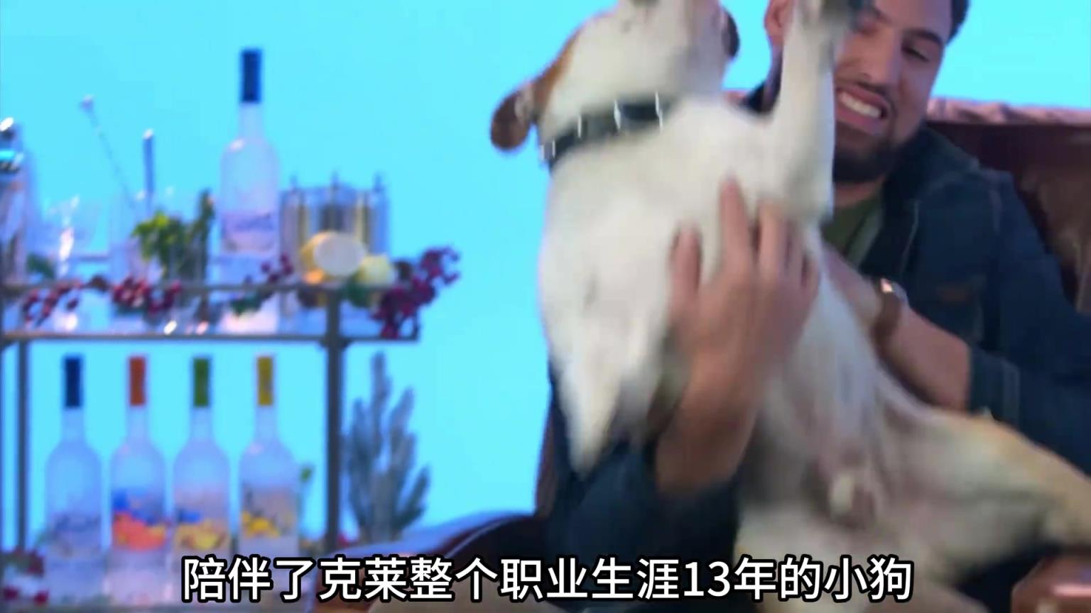 陪伴克萊13年的小狗去世了，不敢相信克萊得多么傷心